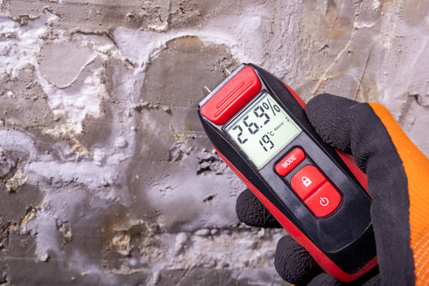 Best Crawl Space Mold Removal  in Basehor, KS